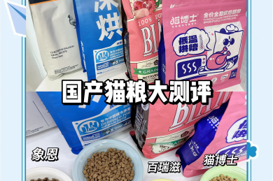 股份有限公司和有限公司的区别是什么？